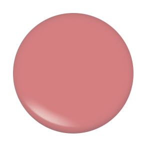 ARCH BROW BAR LIP GLOSS