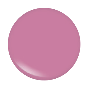 ARCH BROW BAR LIP GLOSS