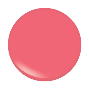 ARCH BROW BAR LIP GLOSS