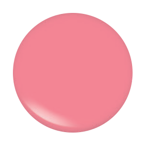 ARCH BROW BAR LIP GLOSS