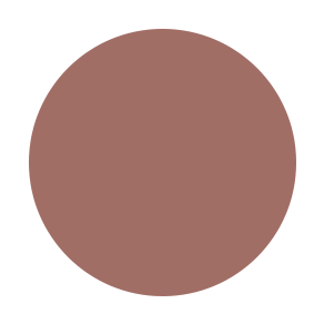 ARCH BROW BAR LIP GLOSS