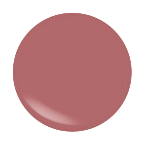 ARCH BROW BAR LIP GLOSS