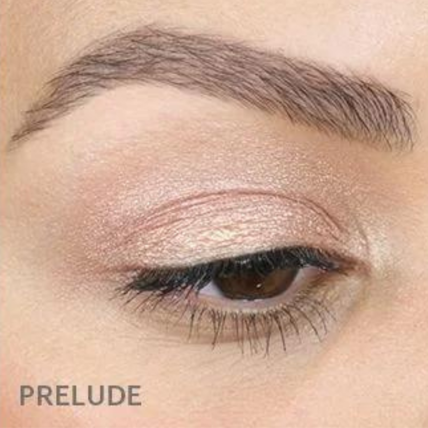 glo cream stay shadow stick